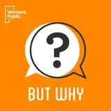 Cover art for But Why: A Podcast for Curious Kids