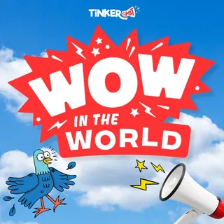 Cover art for Wow in the World